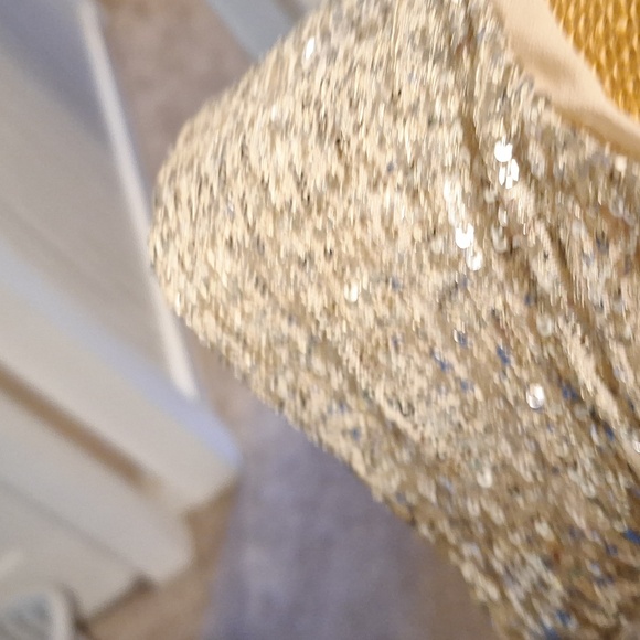 Beautiful Sequin Blouse - Picture 3 of 5